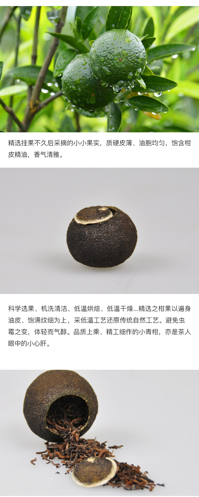 小青柑1.jpg