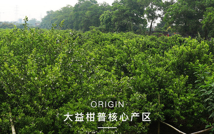 TB2IPC9X1n85uJjSZFvXXXIgXXa_!!737934527_副本.jpg